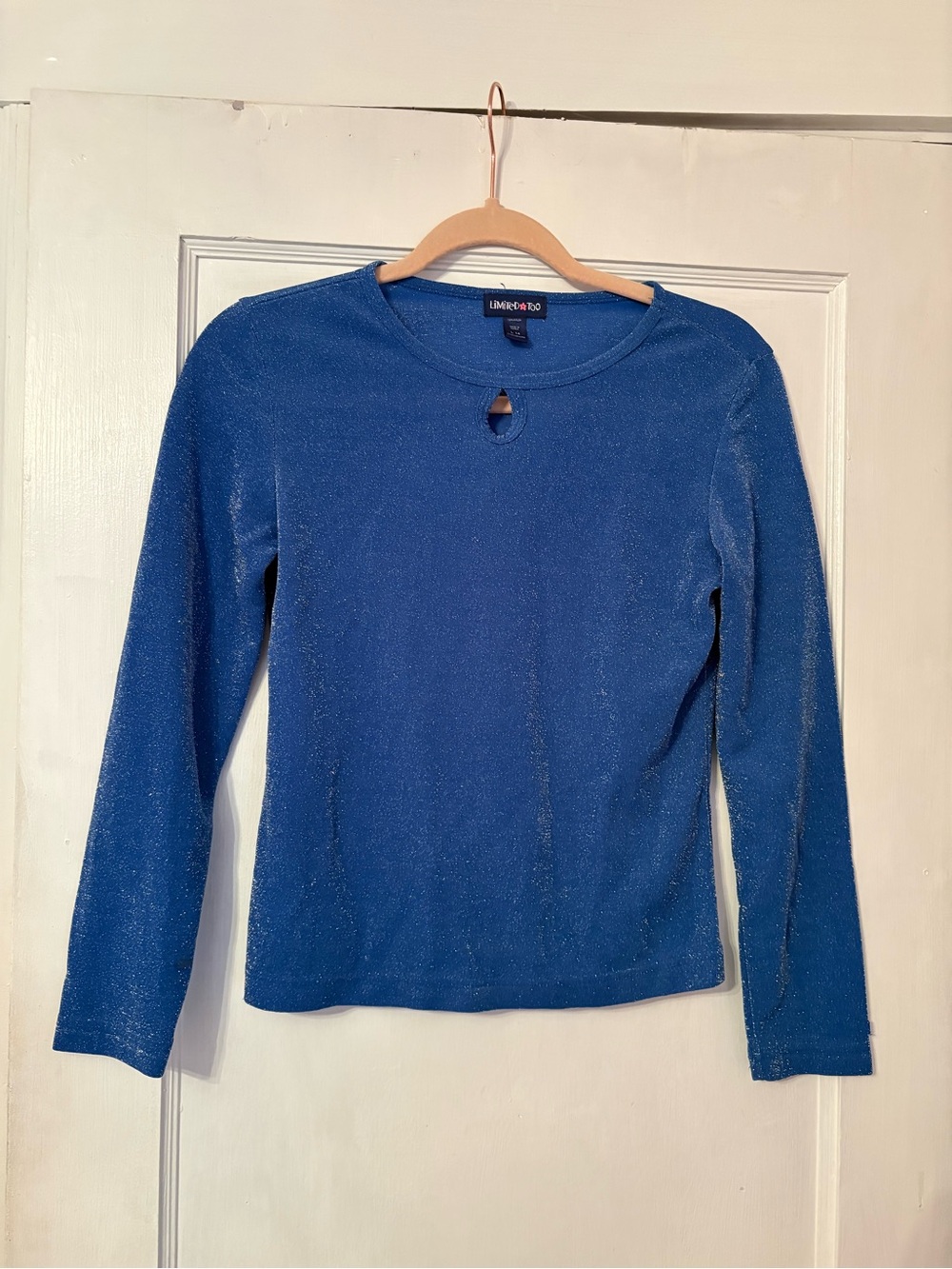 Y2K Limited Too Shimmery Blue Long Sleeve Top